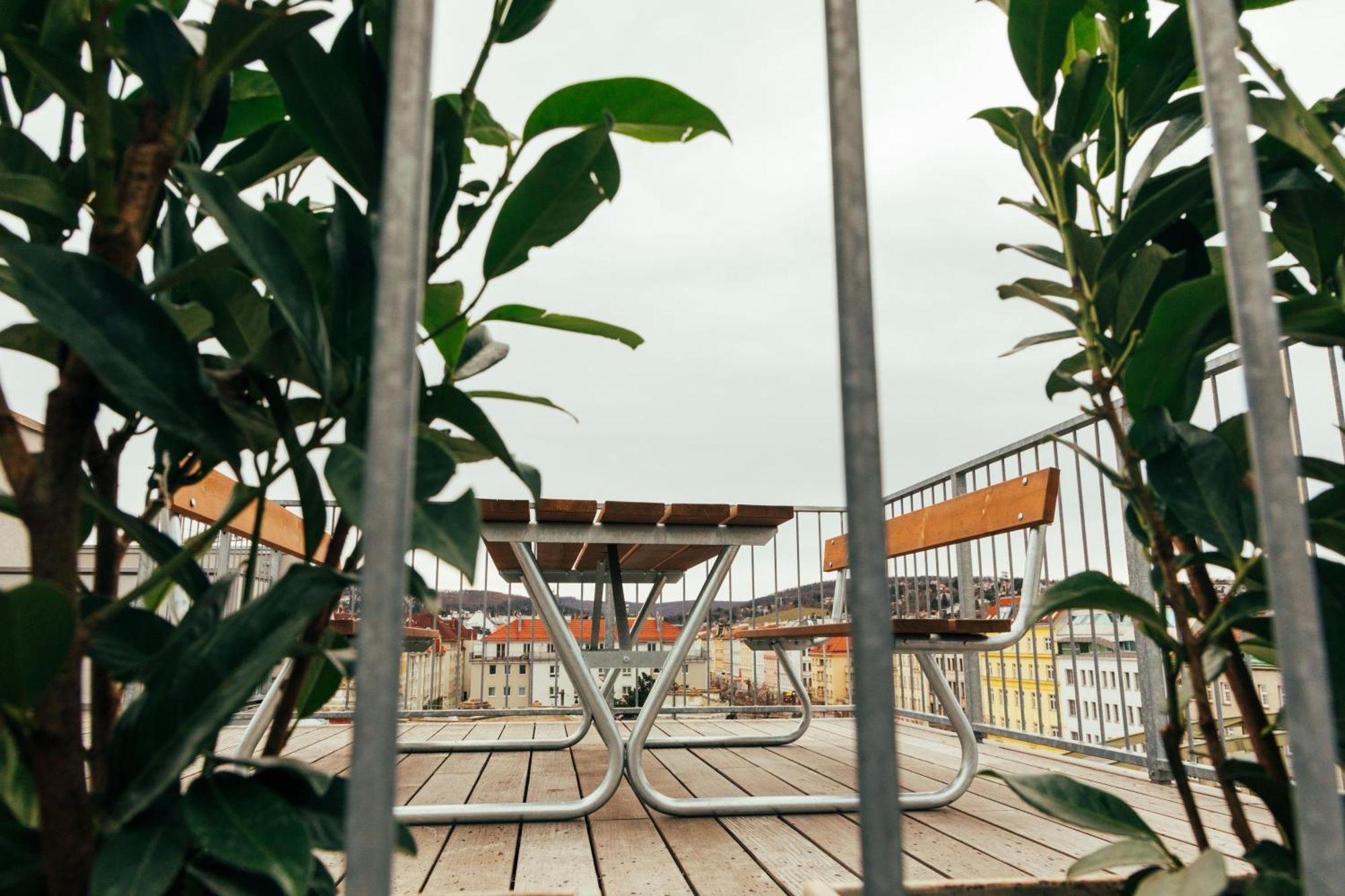 Large Apartments - Great For Groups - With Balcony Or Terrace 비엔나 외부 사진